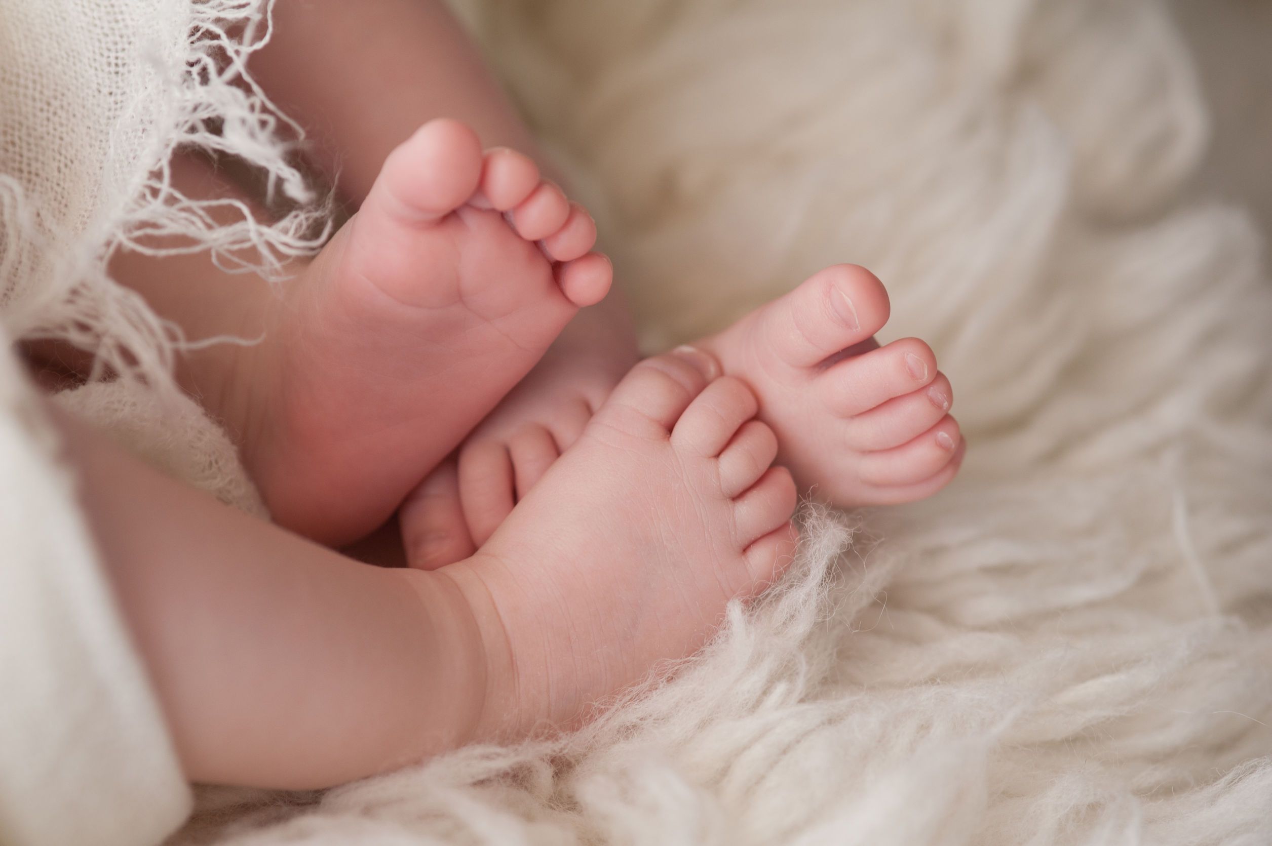 A closeup shot of the feet of twin girl babies. shot in the studio on a sheepskin rug.