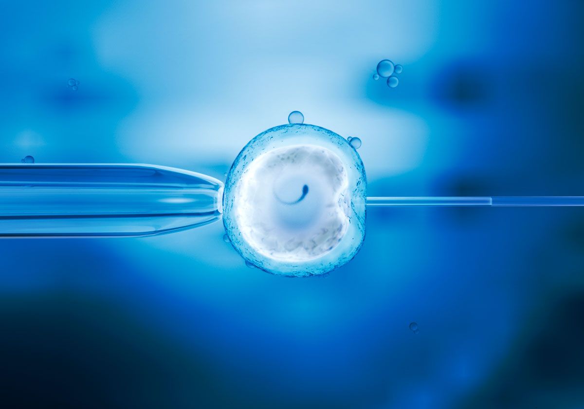 Lee más sobre el artículo ¿Te has preguntado qué es fecundación in vitro?